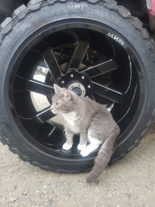 1 1994 F 250 Ford Tuff Country Suspension Lift 6in Arkon Off Road Lincoln Black