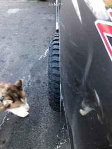 1 2014 Silverado 1500 Chevrolet Bilstein Suspension Lift 3in Arkon Off Road Lincoln Black